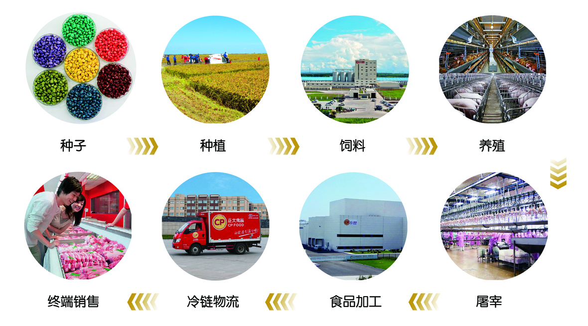 亚洲必赢·bwin(股份)有限公司官网